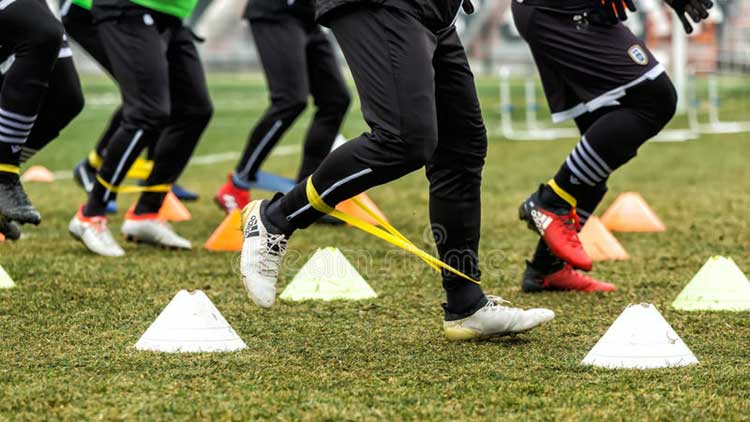 Entrainement du vendredi 25 janvier 2019 annulé