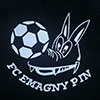 FC Emagny Pin