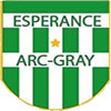 ESP Arc Les Gray C